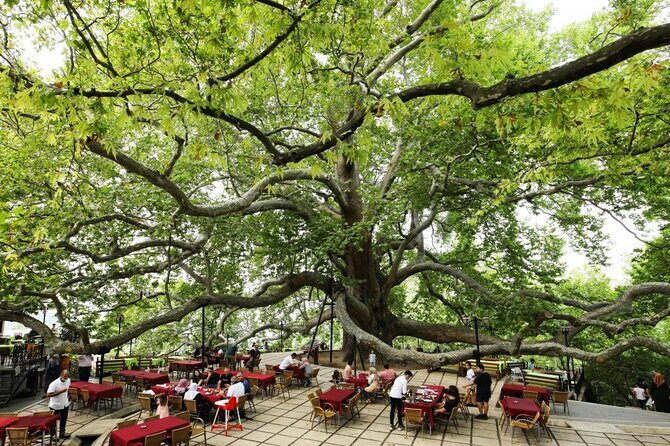Full Day Guided Tour to Bursa with Lunch and Cable Car - Price and Value: What About $54 Gets You