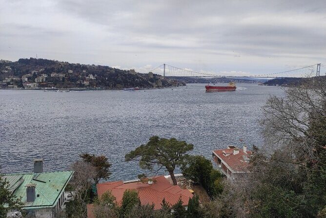 Full Day Istanbul Bosphorus Cruise and Dolmabahce Palace Tour with Private Guide - Price and value: what $250 actually buys you