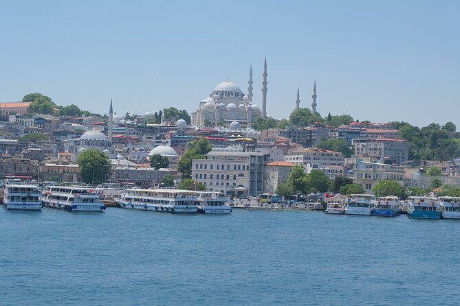 Full Day Istanbul Bosphorus Cruise and Dolmabahce Palace Tour with Private Guide - Getting around smoothly: pickup timing and transit realities