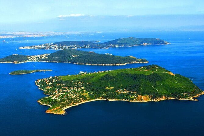 Full Day Istanbul Princes’ Islands Tour with Lunch - Electric car wagon on the island: practical comfort, car-free vibe