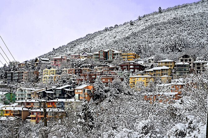 Full-Day Istanbul to Bursa Excursion With Cable Car - Uludag National Park: a mountain break with seasonal variety