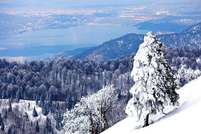 Full-Day Tour in Maşukiye and Sapanca with Pick Up - Pickup and timing from Istanbul: what to expect