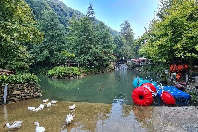 Full Day Tour in Sapanca & Masukiye from Istanbul - Price and value: what $31.24 buys you, and what it does not