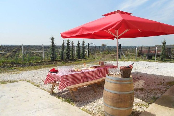 Full-Day Wine Tour from Istanbul - Poyrali Village Stop: Short Walk, Good Reset
