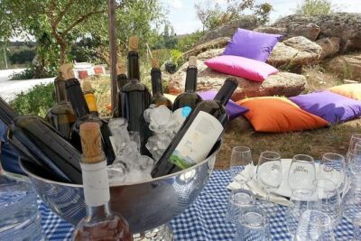 Full-Day Wine Tour from Istanbul - The Thrace Drive: What You’re Really Doing Between Istanbul and the First Winery
