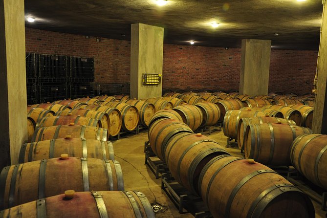 Full-Day Wine Tour from Istanbul - Chateau Nuzun in Cesmeli: Organic Aging in French Oak and the Final Red Pour