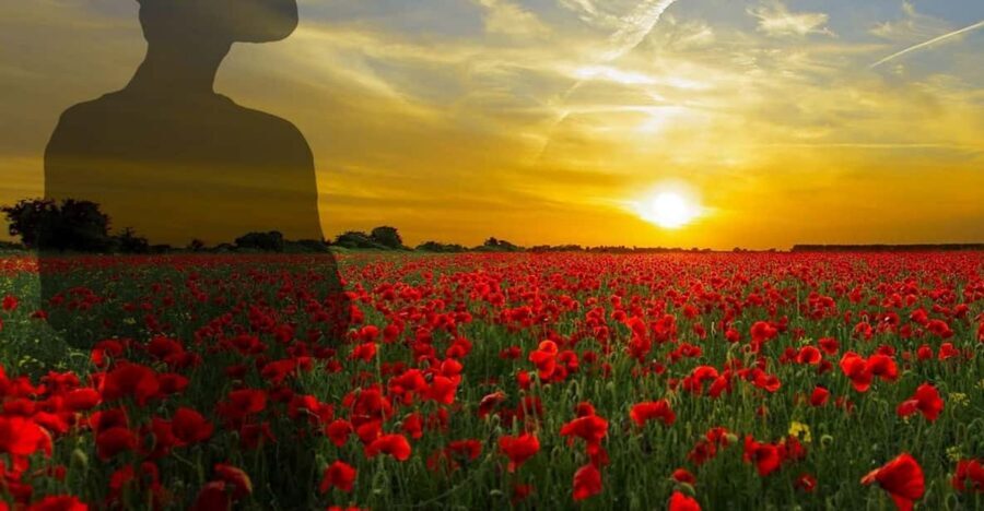 Gallipoli Full-Day Tour from Istanbul - Transport comfort and pacing: what the bus day feels like
