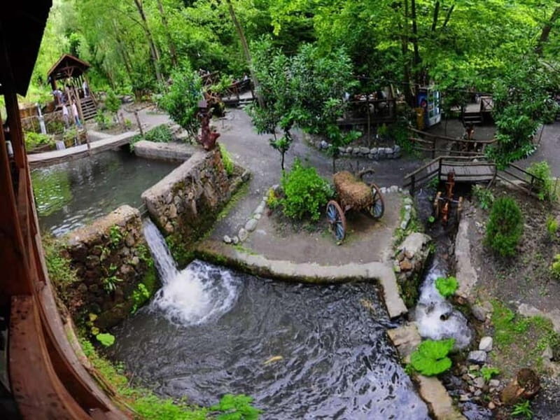 Guided Day Trip to Sapanca and Masukiye From Istanbul - Sapanca Zoo: animals, context, and photo breaks