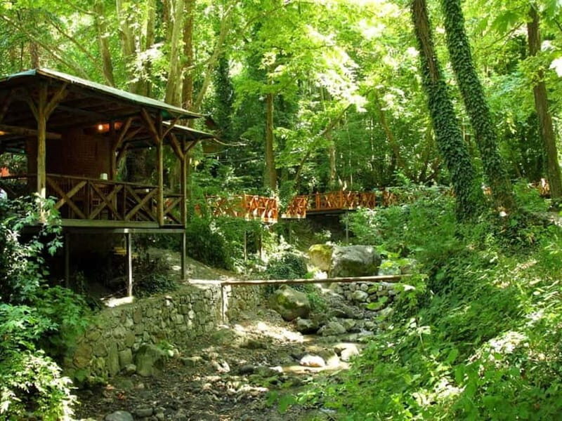 Guided Day Trip to Sapanca and Masukiye From Istanbul - Masukiye Village lunch and the charm of wooden houses