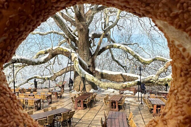 Guided Green Bursa Tour with Cable Car From Istanbul to Uludag - Cable car to downtown: the included ride that makes the day feel special