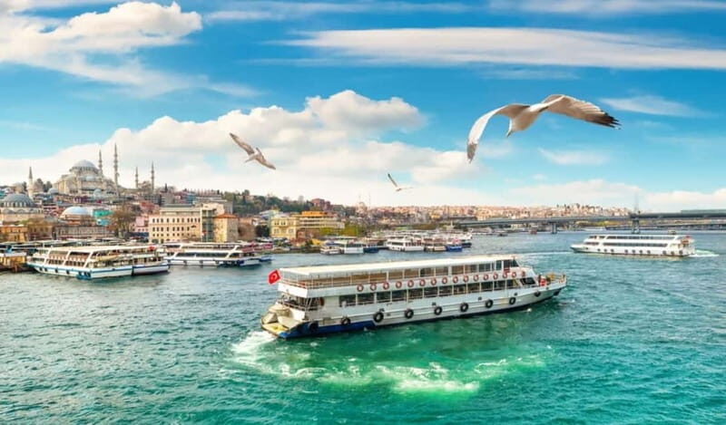 Hagia Sophia, Bosphorus cruise Blue Mosque, Small Group tour - Starting Your Day Near Sultanahmet (Meeting Point vs Hotel Pickup)