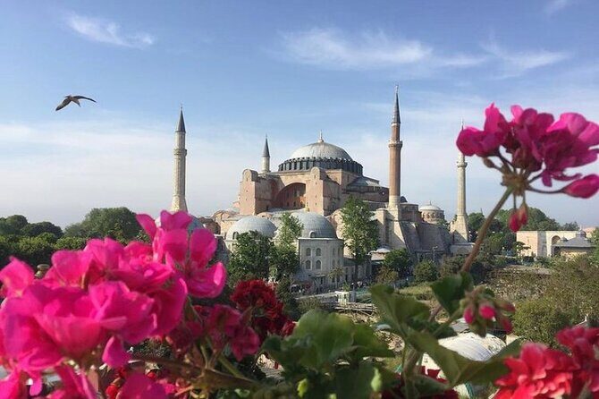 Hagia Sophia Group Tour ( Licensed Guide) - Entry Plan: Meeting Point and the 15-Minute Rule