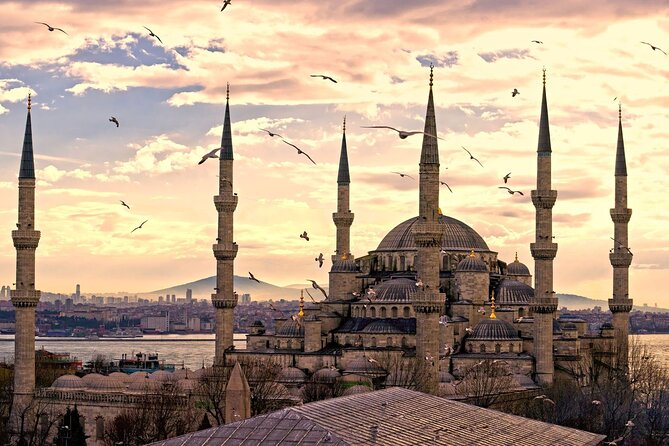 Hagia Sophia & Hippodrome Guided Tours Everyday - Blue Mosque Stop: A Fast, Focused Visit Without Losing the Plot