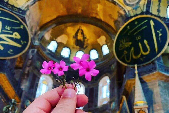 Hagia Sophia Private Tours (Licensed Guide) - Meeting Point in Sultan Ahmet: The Start That Saves Time