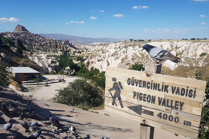 Half Day Private Underground City Tour - Private half-day underground city tour: the real feel of the experience