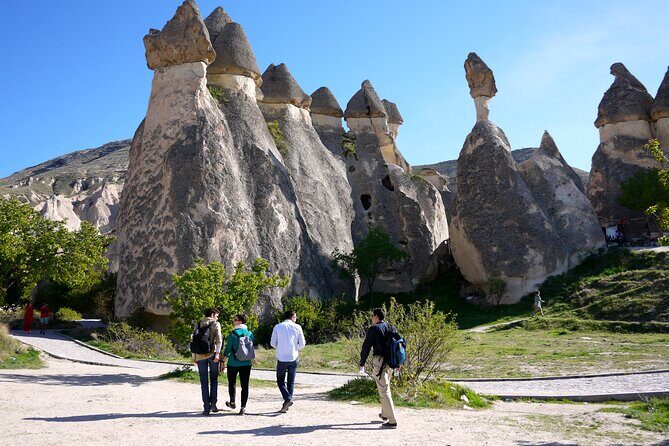 Highlights of Cappadocia All in One Tour - Stop 5: Devrent Valley (Imagination Valley) for rock-shape spotting