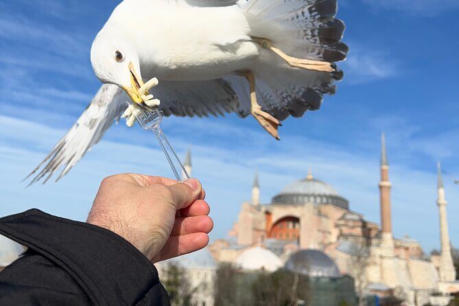 Imperial Traces of Istanbul – Private Guided Signature Tour - Blue Mosque and the Grand Bazaar finish: buy less chaos, get more meaning