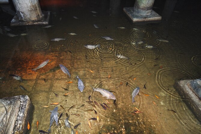 Istanbu City Walk: Topkapi Palace, Harem, & Basilica Guided Tour - Meeting point in Sultanahmet: getting there without stress
