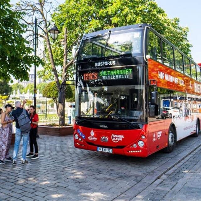 Istanbul: 48-Hour Hop-On Hop-Off Double Decker Bus Ticket - Price and value: is $84 for two days a fair deal?