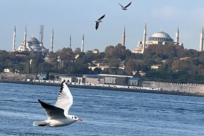 Istanbul Airport or Cruise Ship Private Layover Tour - Fatih and the Historical Peninsula: Where Several Empires Lived