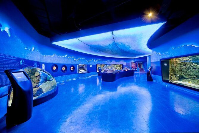Istanbul Aquarium and Aqua Florya Independent Shopping Trip - Key highlights you’ll actually feel