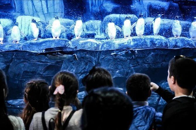 Istanbul Aquarium and Aqua Florya Independent Shopping Trip - How this Aquarium + mall trip really flows