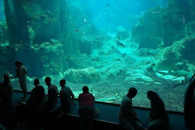 Istanbul Aquarium and Aqua Florya Independent Shopping Trip - Aqua Florya mall time: a practical break after animals