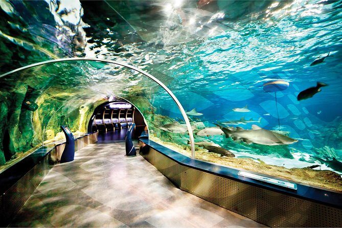 Istanbul Aquarium and Aqua Florya Independent Shopping Trip - English support and small-group feel: good for independent travelers