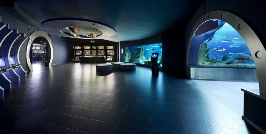 Istanbul Aquarium and Aqua Florya Shopping Mall Tour - Price and Value: What $177 Buys You