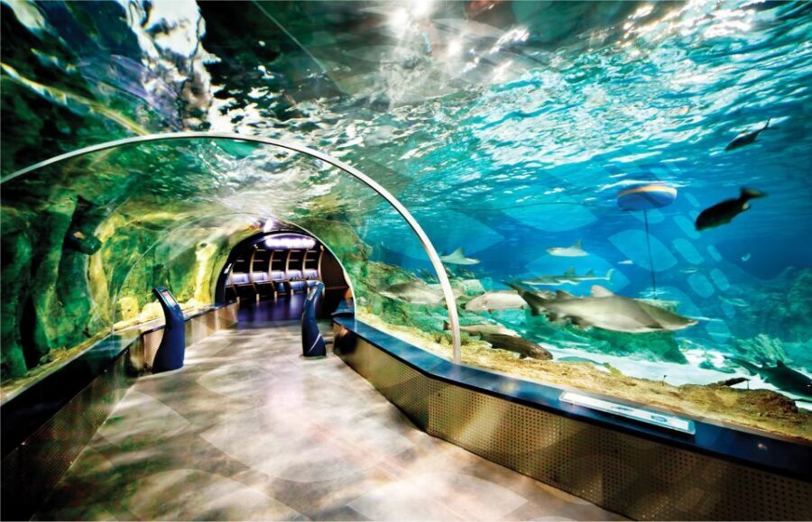 Istanbul Aquarium and Aqua Florya Shopping Mall Tour - Istanbul Akvaryum in Five Hours: The Big Idea
