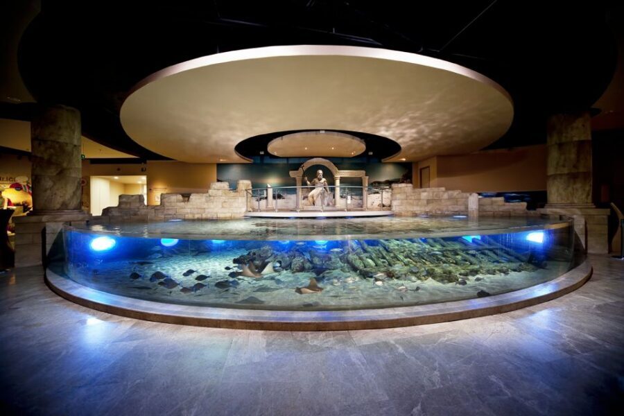 Istanbul Aquarium and Aqua Florya Shopping Mall Tour - The Aquarium Route: 16 Themes From Black Sea to Pacific