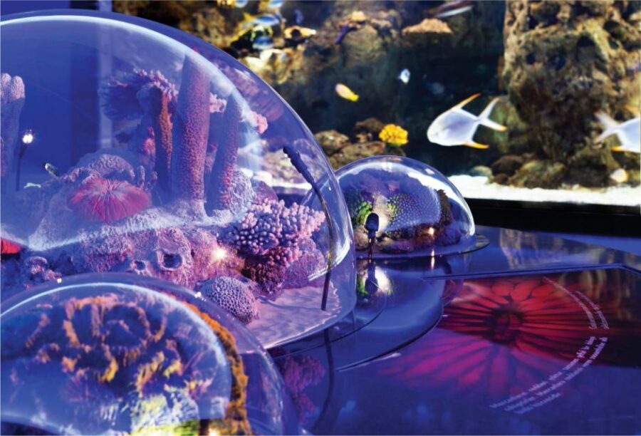 Istanbul Aquarium and Aqua Florya Shopping Mall Tour - Amazonian Forest + Rainforest Quest: The Fun, Hands-On Part