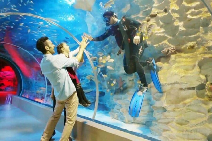 Istanbul Aquarium and Aqua Florya Shopping Mall Tour - Mirror Labyrinth: A Break From Tanks (and a Test of Your Patience)