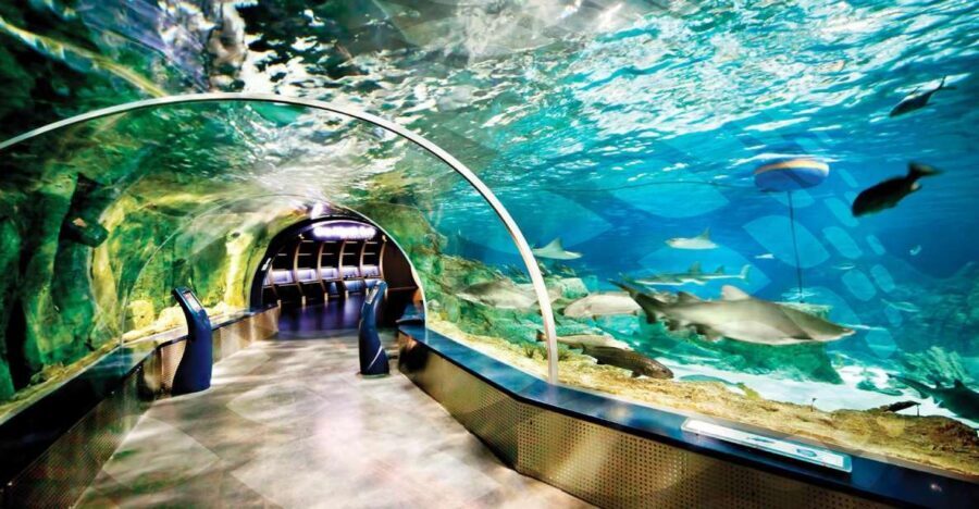 Istanbul Aquarium and Aqua Florya Shopping Mall Tour - Getting There: European Side Pickup + Express Entry