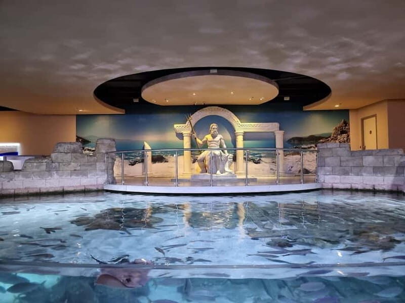 Istanbul: Aquarium Ticket and Round Trip Shuttle from Taksim - Ocean-to-Rainforest Themes You Can Actually Follow