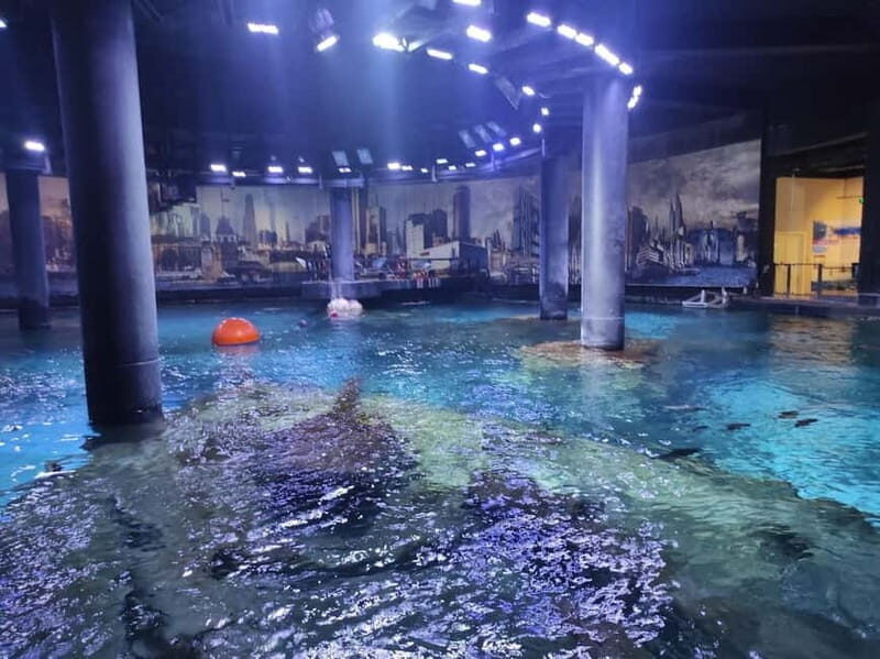 Istanbul: Aquarium Ticket and Round Trip Shuttle from Taksim - Animals and Exhibit Highlights That Matter (and How to Pace Them)