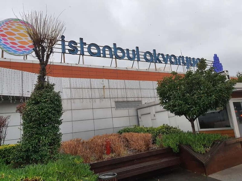 Istanbul: Aquarium Ticket and Round Trip Shuttle from Taksim - Time and Value: Is $33 Worth It?