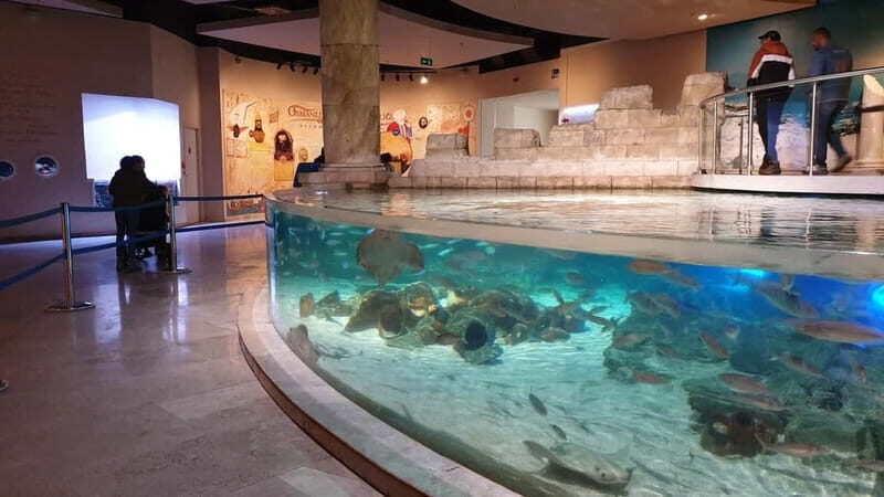 Istanbul: Aquarium Ticket and Round Trip Shuttle from Taksim - Who This Is Best For (and Who Might Want Something Else)