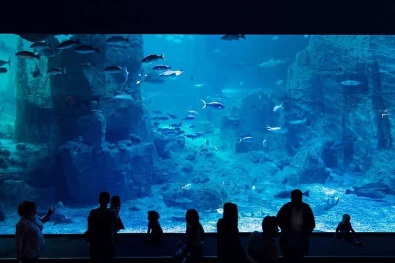 Istanbul: Aquarium Ticket with Shuttle Bus from Sultanahmet - Skip-the-line entry and the 1.2-kilometer walking route