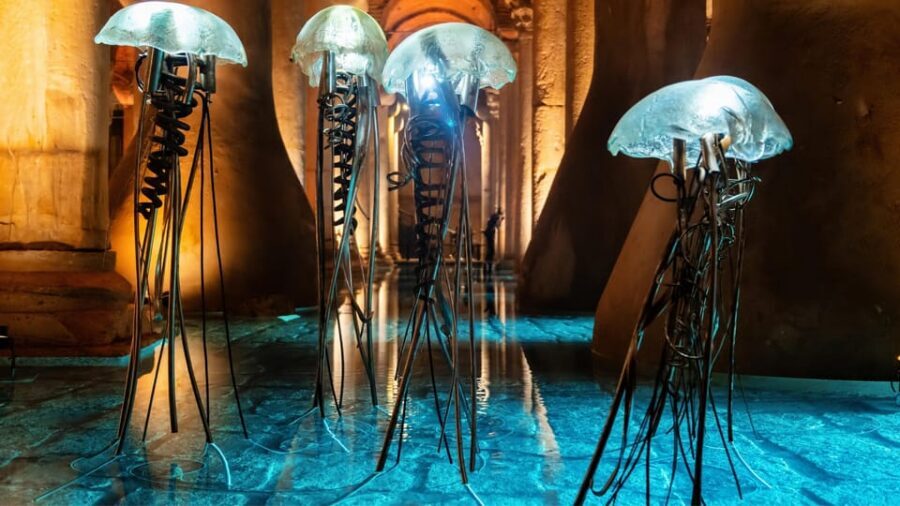 Istanbul: Basilica Cistern Guided Tour - Key things to know before you go