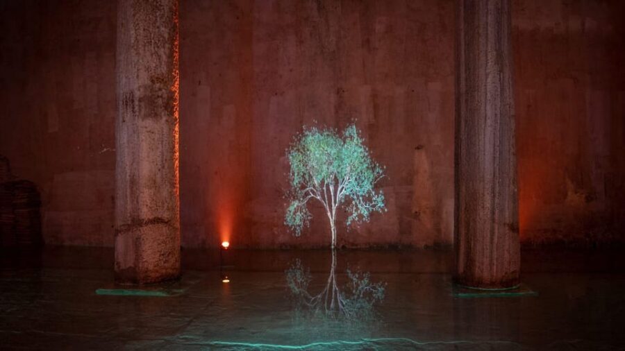 Istanbul: Basilica Cistern Skip-the-Ticket-Line Guided Tour - Entering the Underground Story: History and Roman Engineering