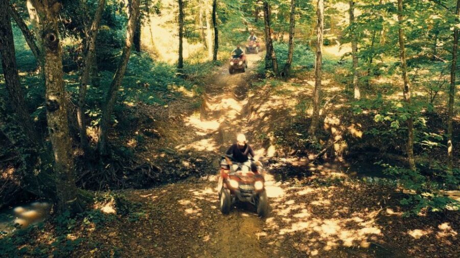 Istanbul: Belgrad Forest ATV Tour with Ziplining Option - What you’ll remember most (quick hits)