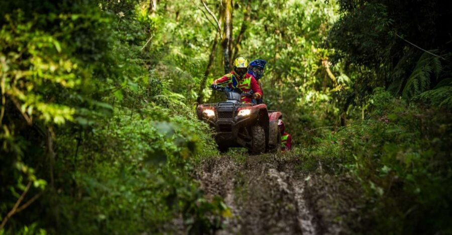Istanbul: Belgrad Forest ATV Tour with Ziplining Option - Getting picked up in Sultanahmet or Taksim (and why it matters)
