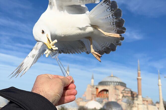 ISTANBUL BEST: Iconic Landmarks Full Day PRIVATE Guided City Tour - Key things that make this tour worth your time