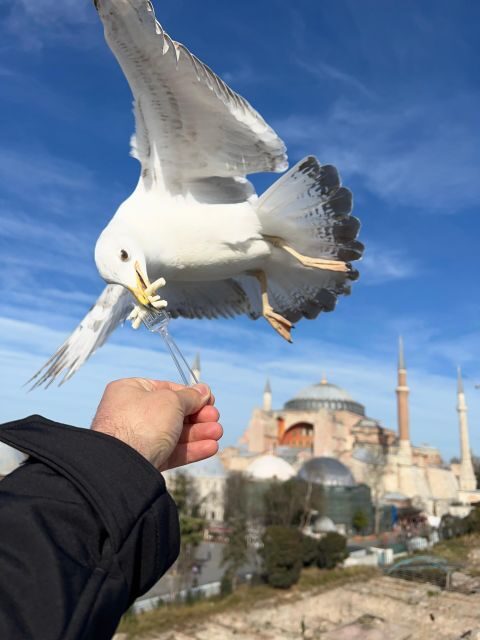 Istanbul: Best of The City Full-Day Tour with Transfers - Topkapi Palace: Ottoman Power, Treasury Rooms, and Time-Saver Access
