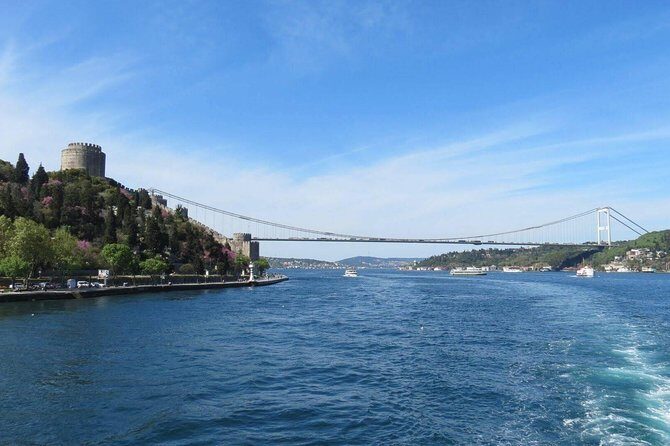 Istanbul Boat Cruise and Dolmabahce Palace & Two Continents - Who This Tour Suits (and Who Should Skip It)