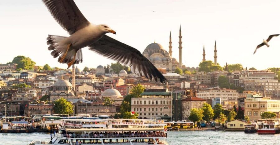 Istanbul: Bosphorus Dinner Cruise with Private Table & Show - Key things I’d bet on (before you book)