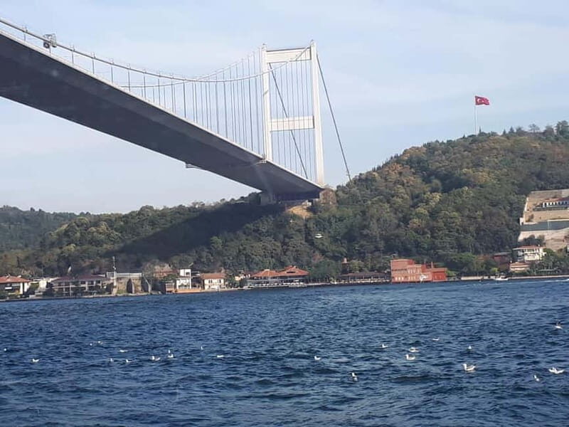 Istanbul: Bosphorus Lunch Cruise with Guide - Europe and Asia views: the palaces from the water