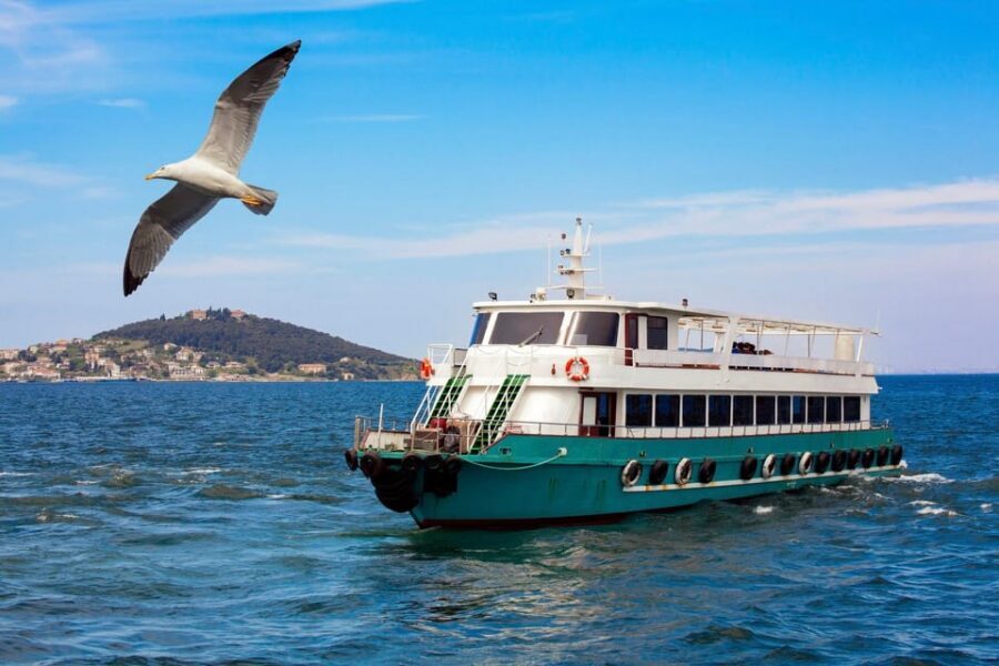 Istanbul: Bosphorus Strait Sightseeing Cruise & Audio Guide - Fatih Sultan Mehmet Bridge and Emirgan Park: a calmer view window