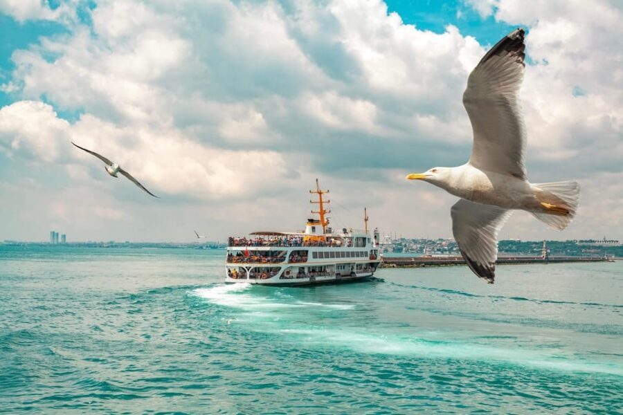 Istanbul: Bosphorus Strait Sightseeing Cruise & Audio Guide - Should you book this Bosphorus cruise?